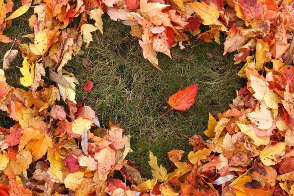 Festa d'autunno