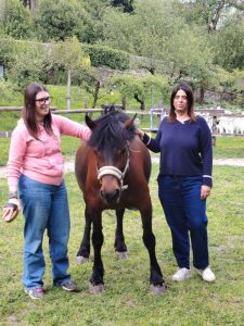 team building cavalli